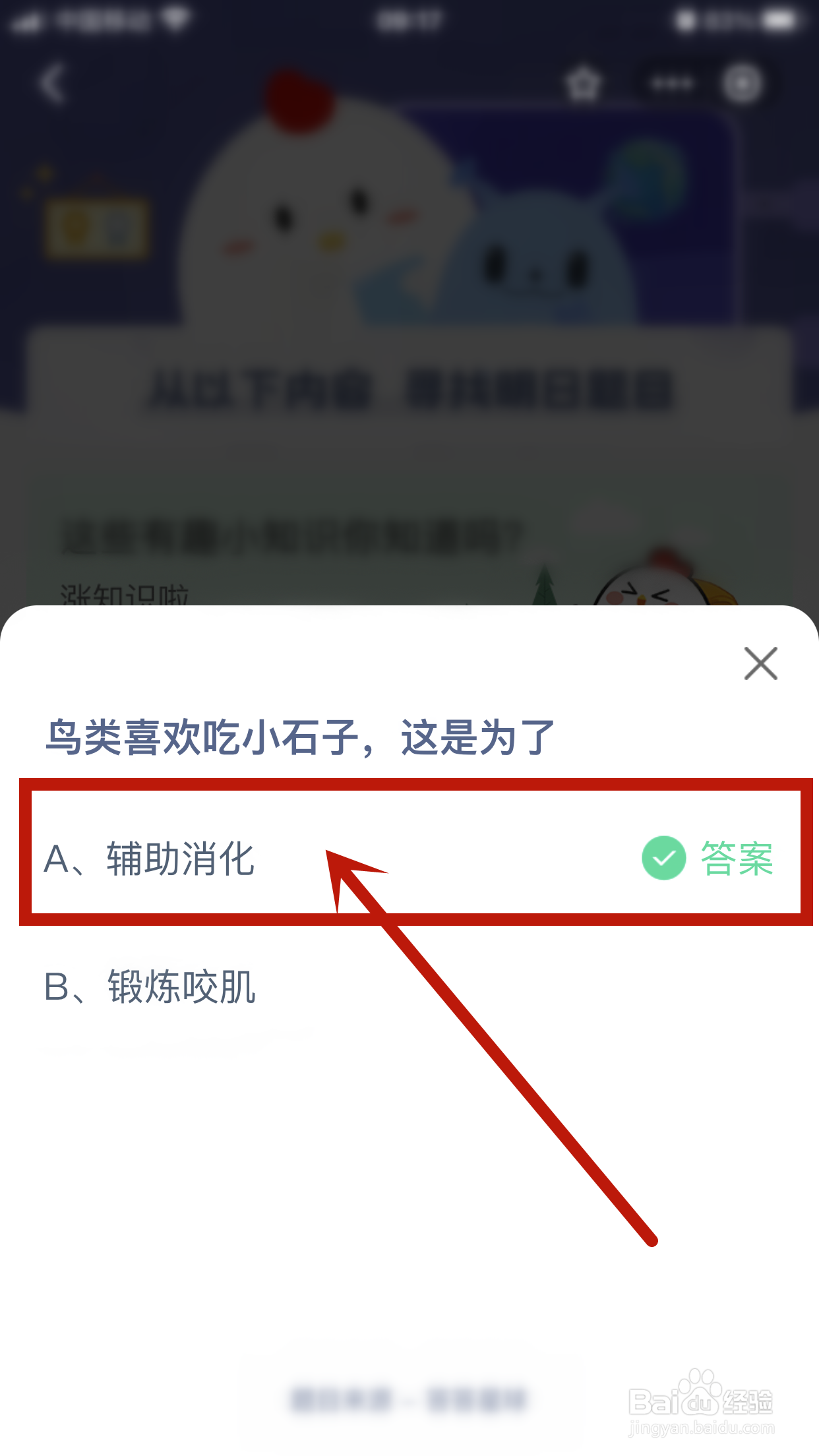 鸟类喜欢吃小石子这是为了？