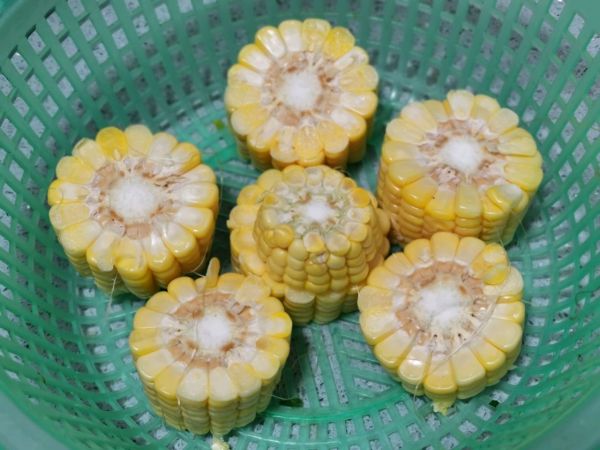玉米胡萝卜炖土鸡汤
