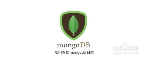如何查看mongodb日志