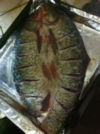 教大家双味烤鱼的做法