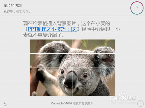PPT制作之多变的图片：[4]图片的切割