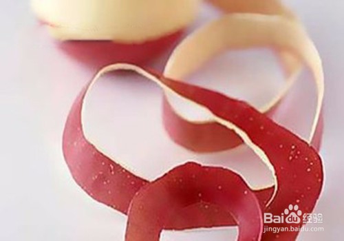 美化家庭—家庭养花小技巧