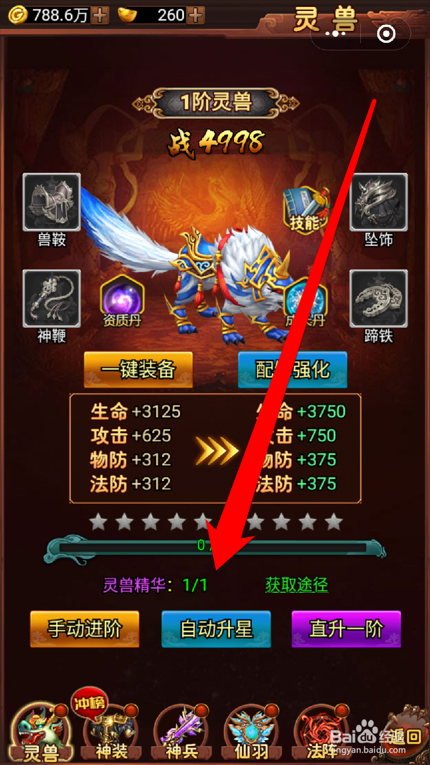 怎样在神游纪给幻兽加星