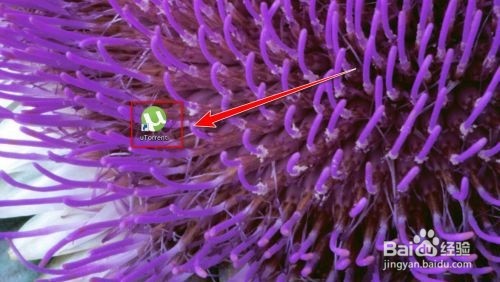 uTorrent如何更新升级