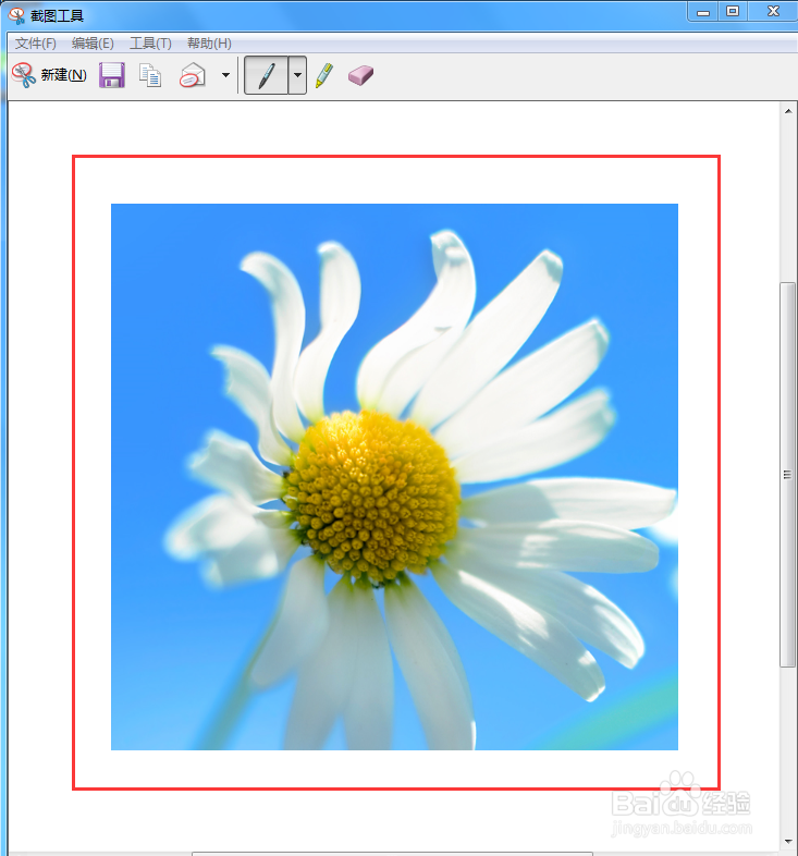 电脑上如何使用截图工具
