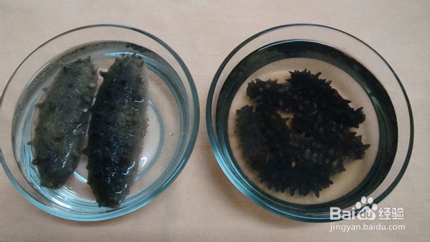 男人秋季养生 海参粥提高性能力食疗