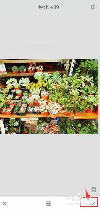 Snapseed如何锐化图片