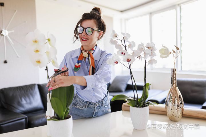 送的花怎么处理比较好