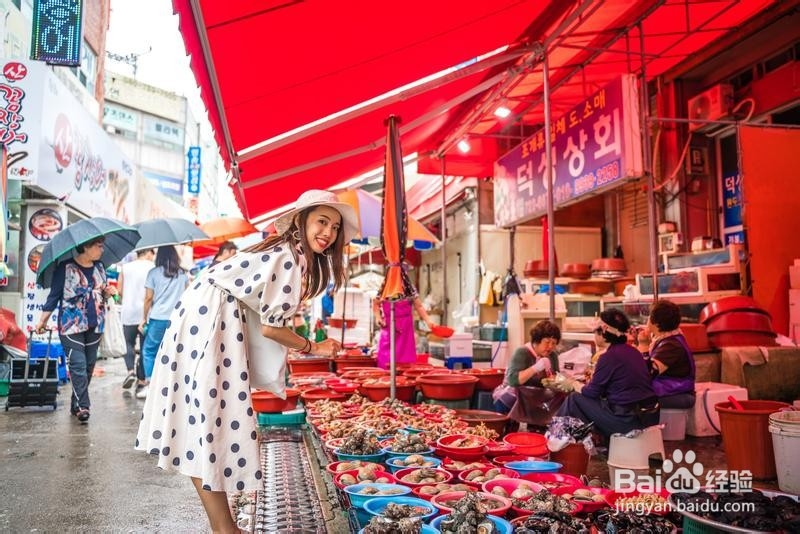 大学生游韩国简易攻略32