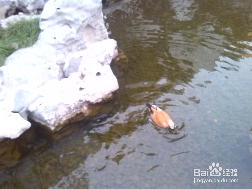 玩转园博园,10月11日-11月18日