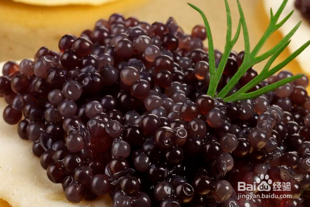 世界杯正宗俄罗斯美食有哪些