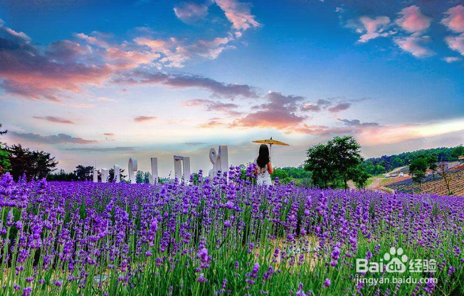 今日头条怎么私信 私信功能用途