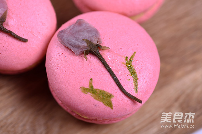 樱花马卡龙—德普烘焙食谱