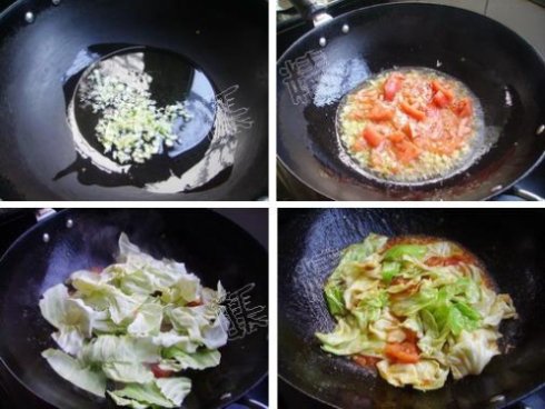 番茄包菜——晒太阳