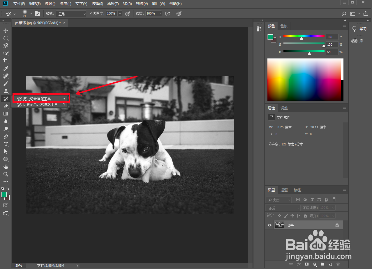ps怎么给局部涂色