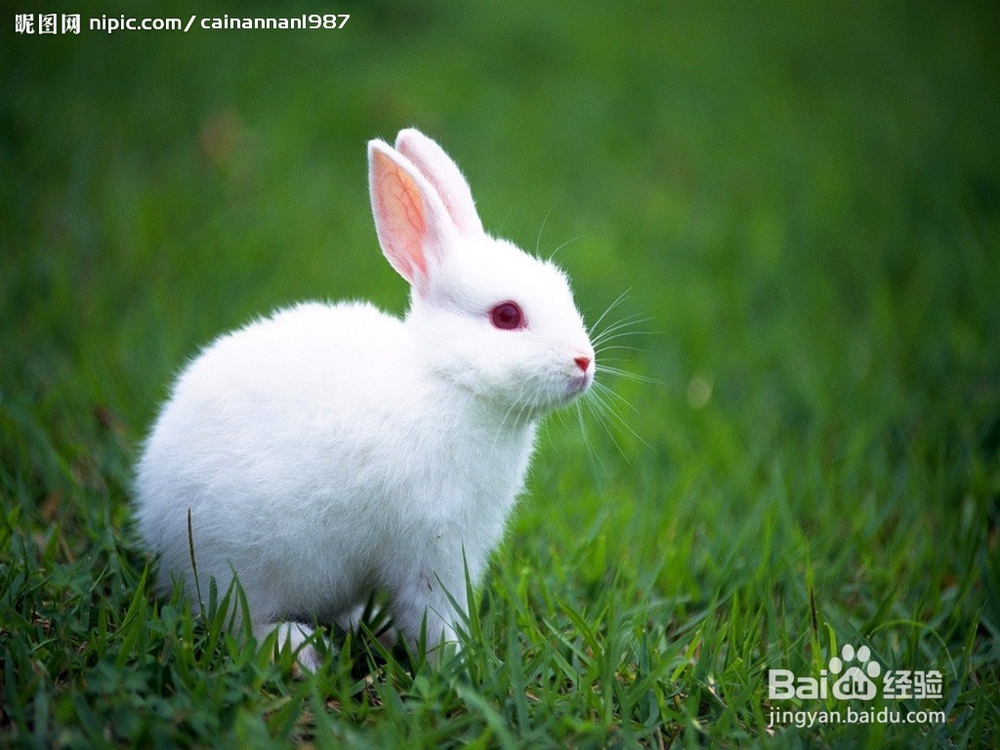 怎样把图片转换成更小的容量？