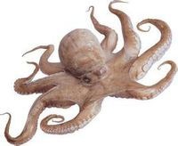 20几岁怎样开启财务自由之路