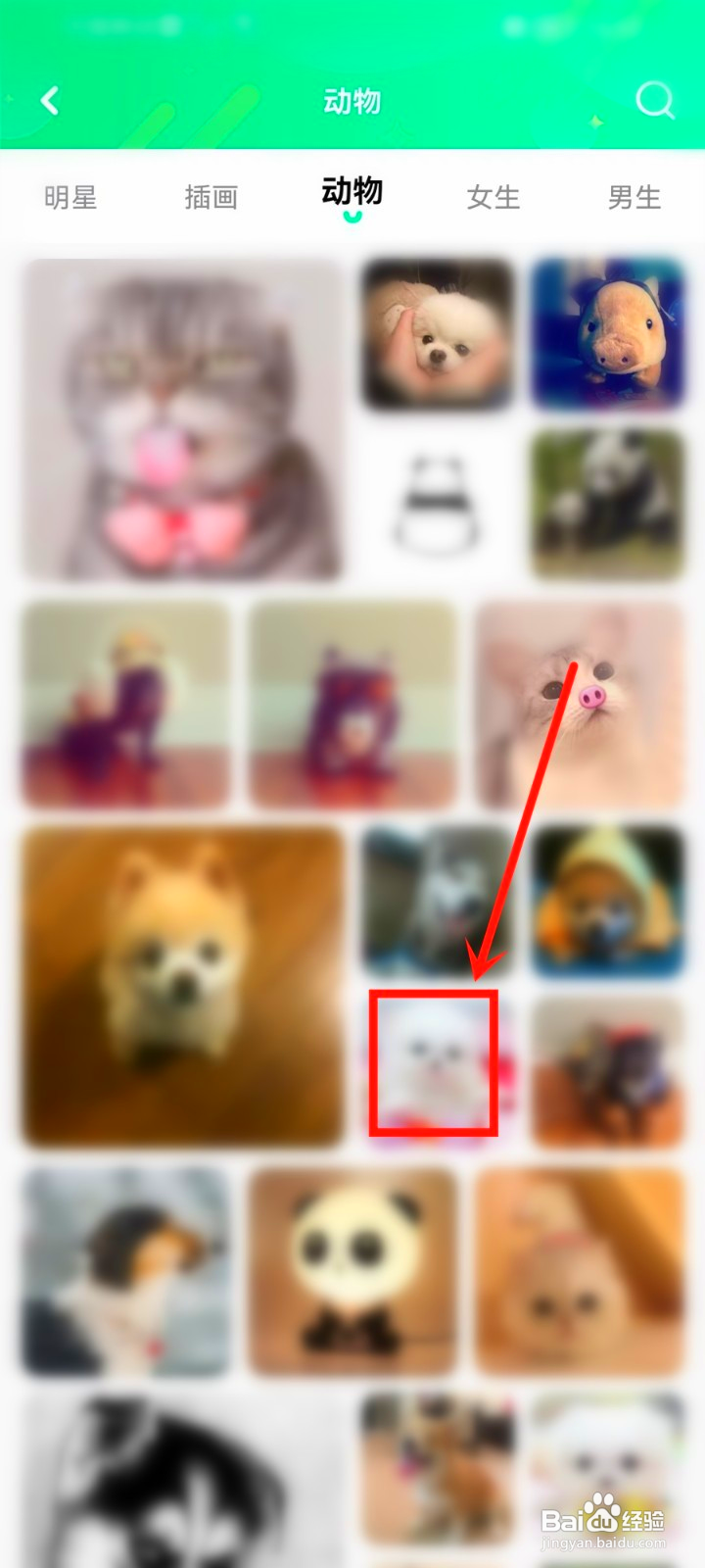 哈屏壁纸怎么下载头像图片