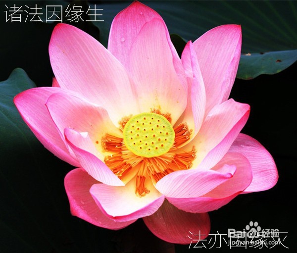 人与人之间，怎样处理信仰不同导致的矛盾