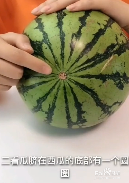 如何挑选西瓜？