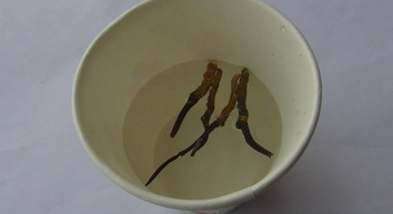 冬虫夏草回收价格高低的区别