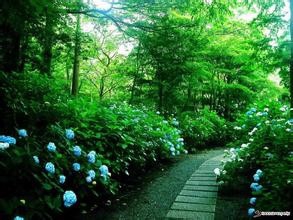 国外的情人节竟然是这个样子