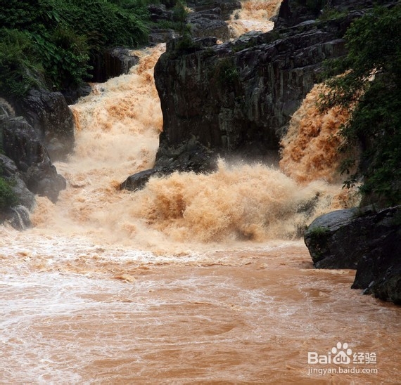 在野外游泳时每个人都必备的一些安全常识