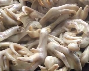 酸萝卜鸭脚板汤怎么做