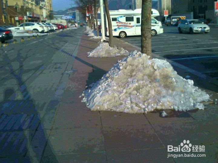 树木的根为什么用雪堆保护