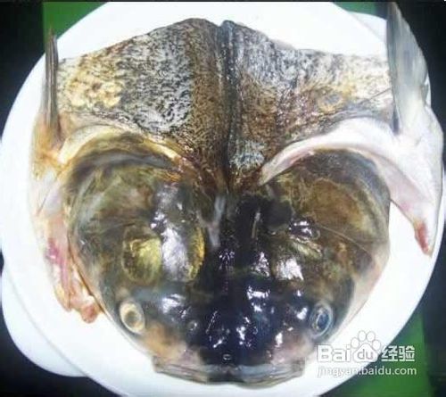 教你在家做剁椒鱼头
