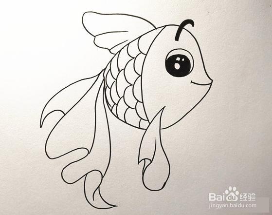 活泼的小金鱼简笔画怎么画