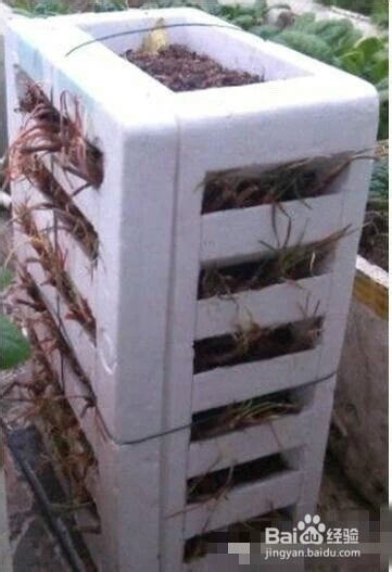 阳台就能种出有机蔬菜咯