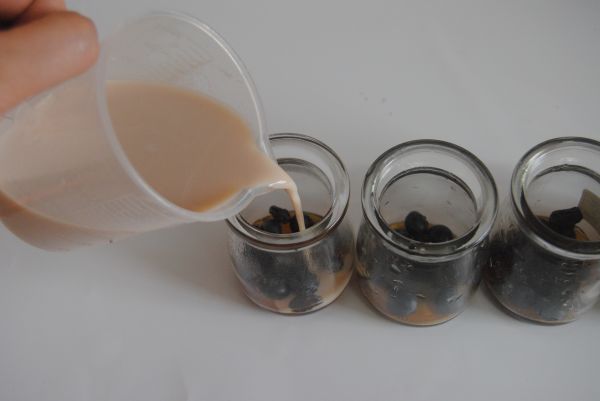 草莓加州葡萄干布丁