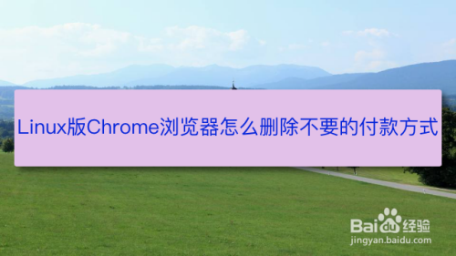 Linux版Chrome浏览器怎么删除不要的付款方式？