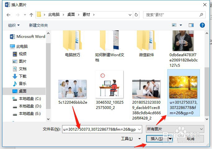 如何给word文档插入图片