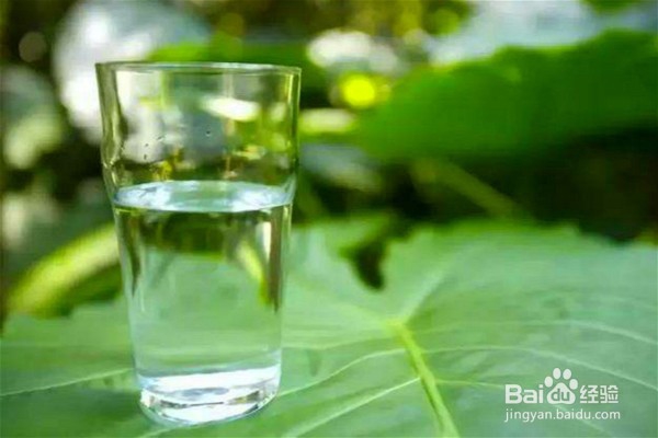 预防身体尿酸值升高的6个有效方法