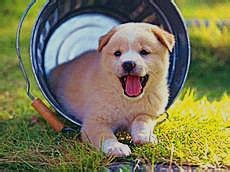 武魂宝石游戏攻略