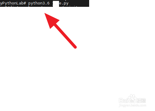 如何使用云服务器运行python程序