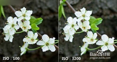 摄影中IOS感光度影响哪些？如何设置合适的IOS？