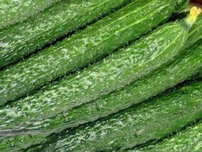 如何选黄瓜和黄瓜有哪些种类?