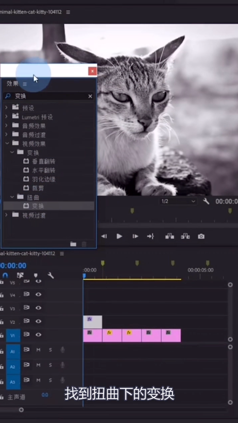 教你pr制作缩放卡点效果
