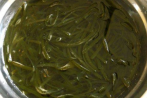 香辣海带丝做法