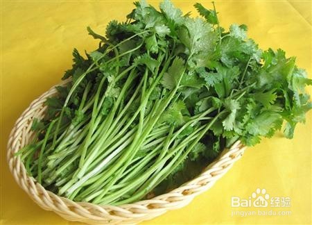 香菜栽培要注意哪些？