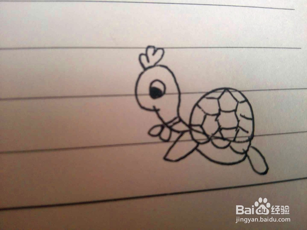一只爬行的小乌龟简笔画