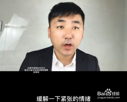 狗狗晕车怎么办