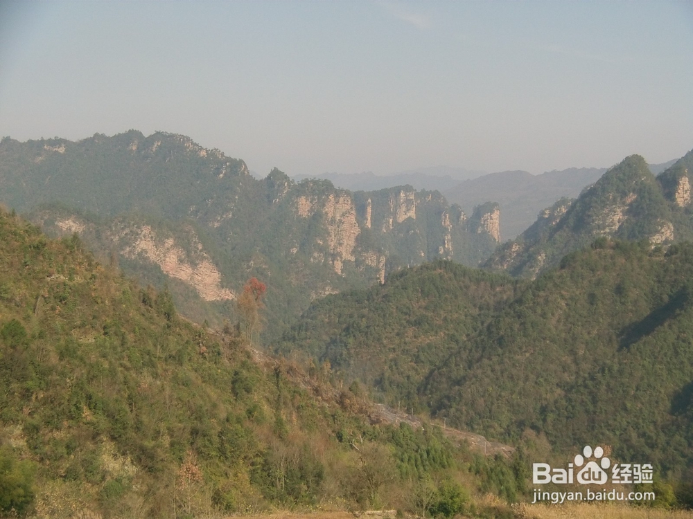 精准扶贫农家欢喜村民快乐记实