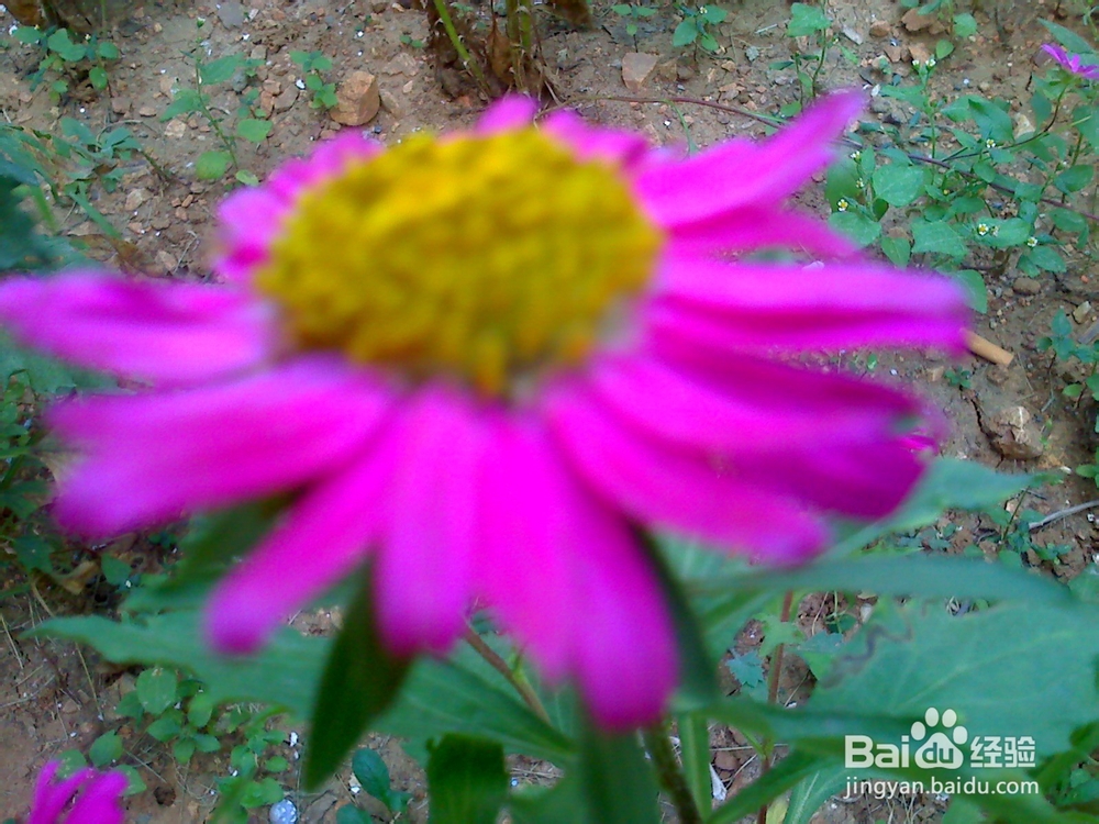 孩子怎样来控制自己珍惜时间