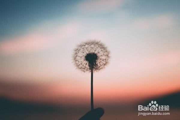 怎么做到异性思维