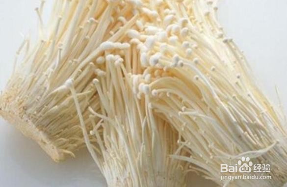 金针菇水培方法