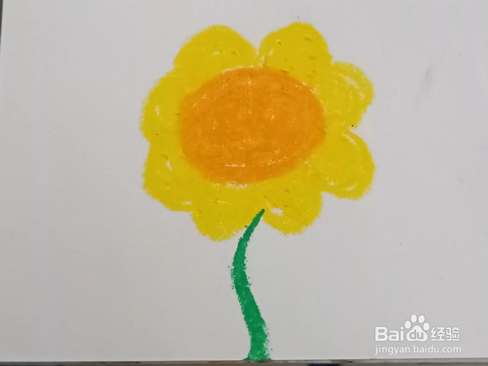用油画棒画向日葵